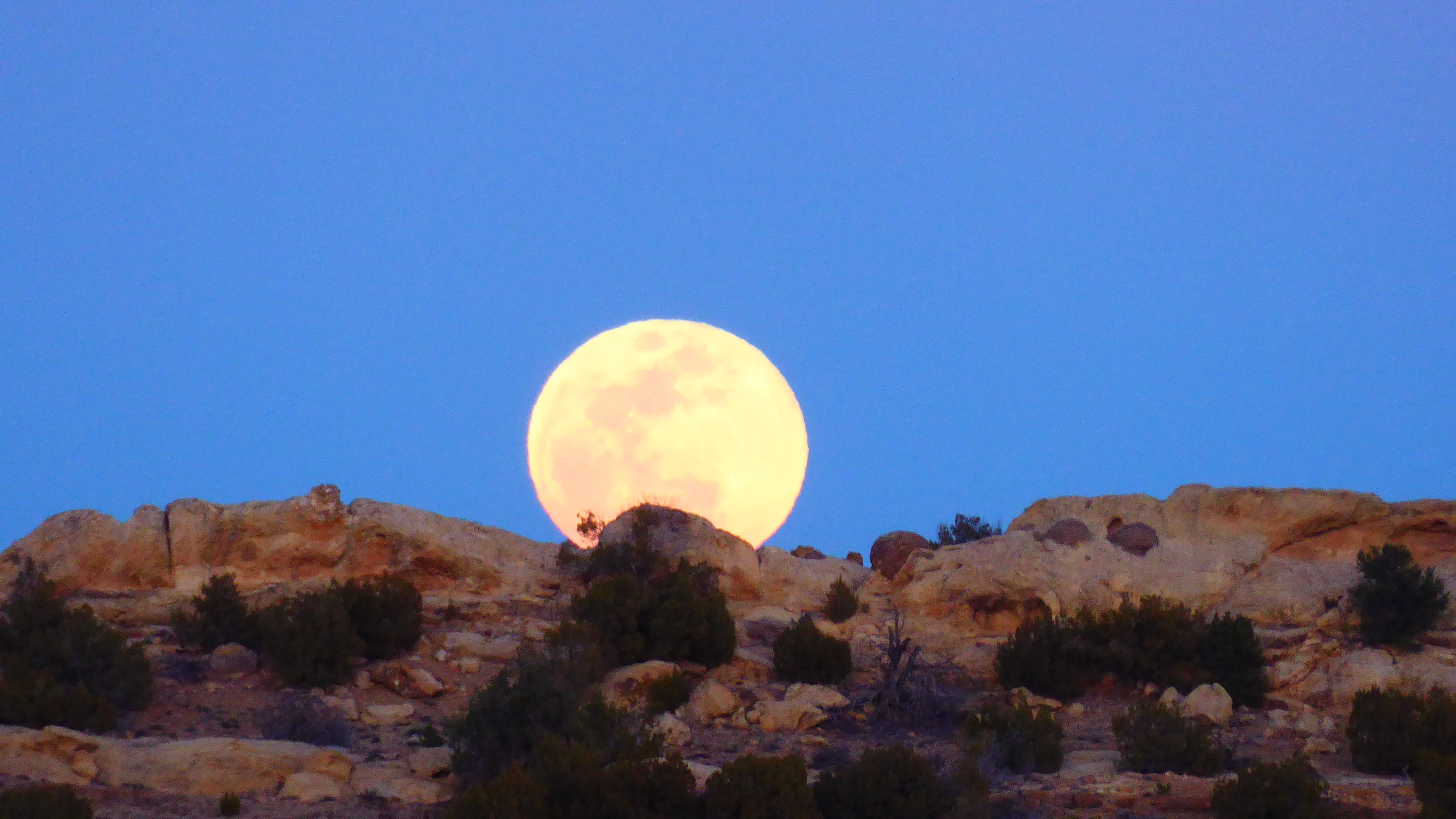 Enchanted Valley Ranch